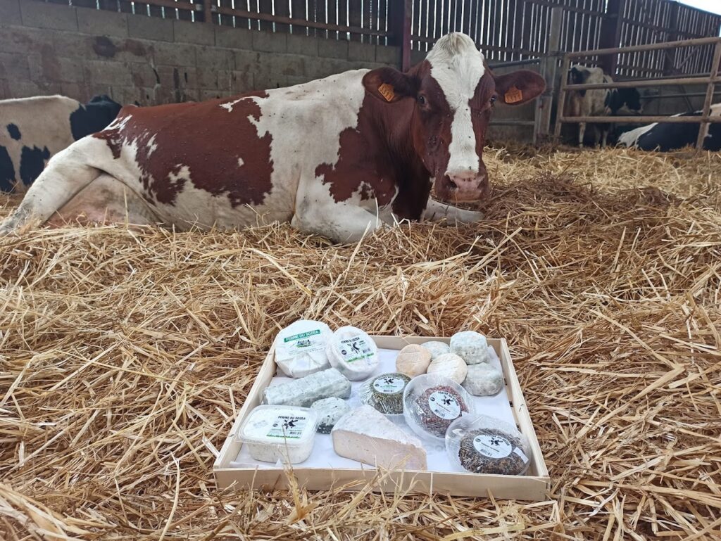 fromages vache ferme du Sozea
